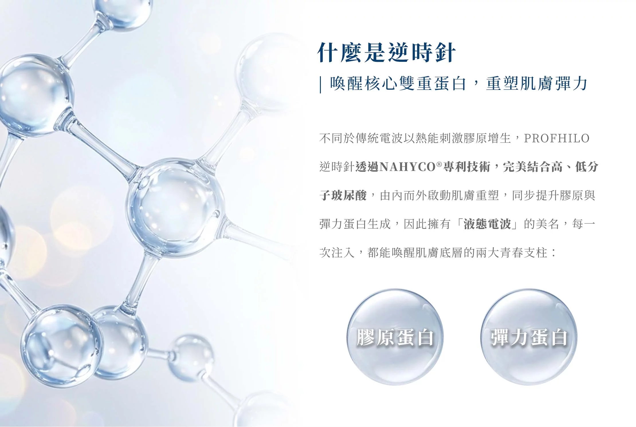 逆時針 網頁設計 PC 02