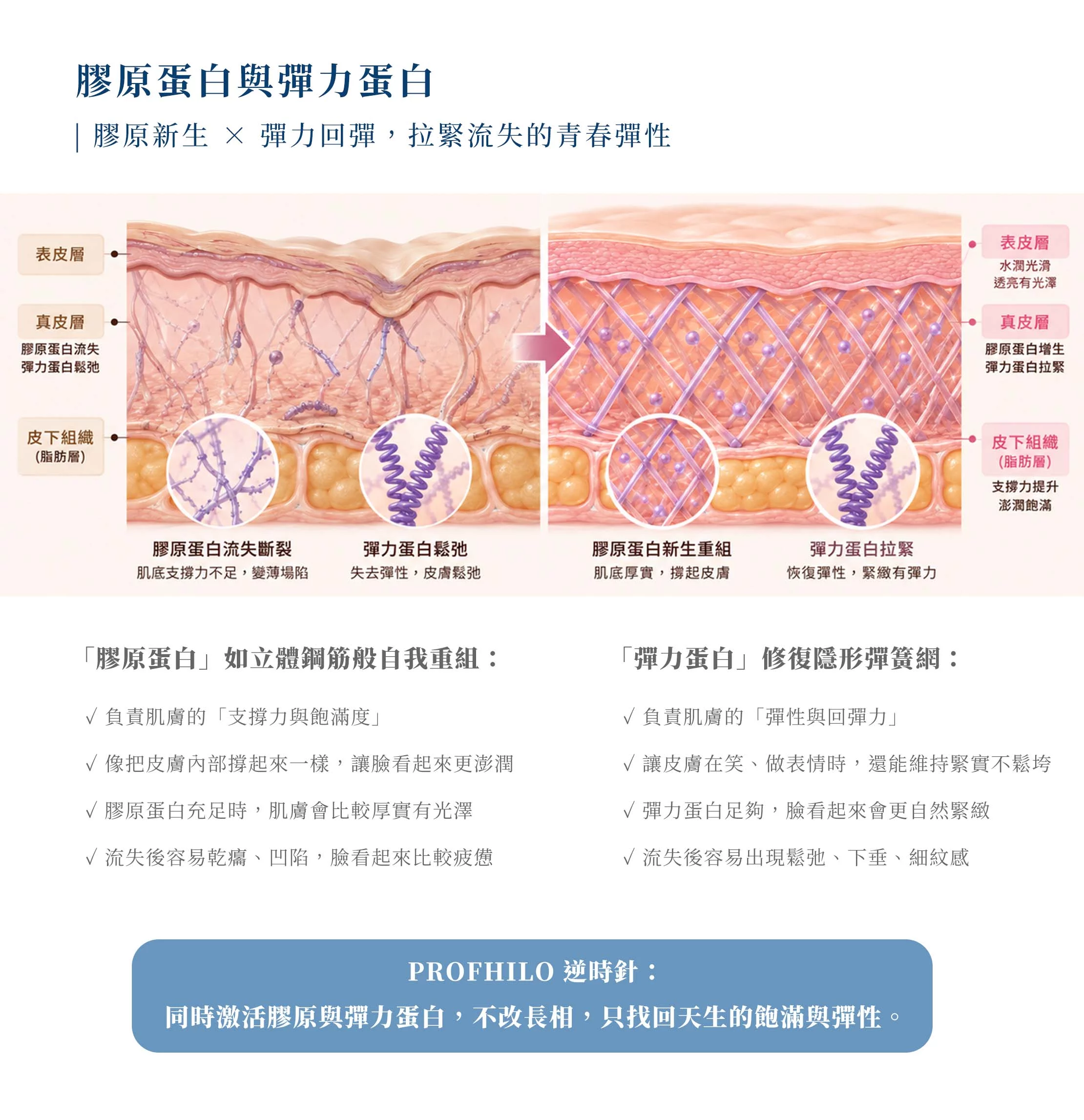 逆時針 網頁設計 PC 03