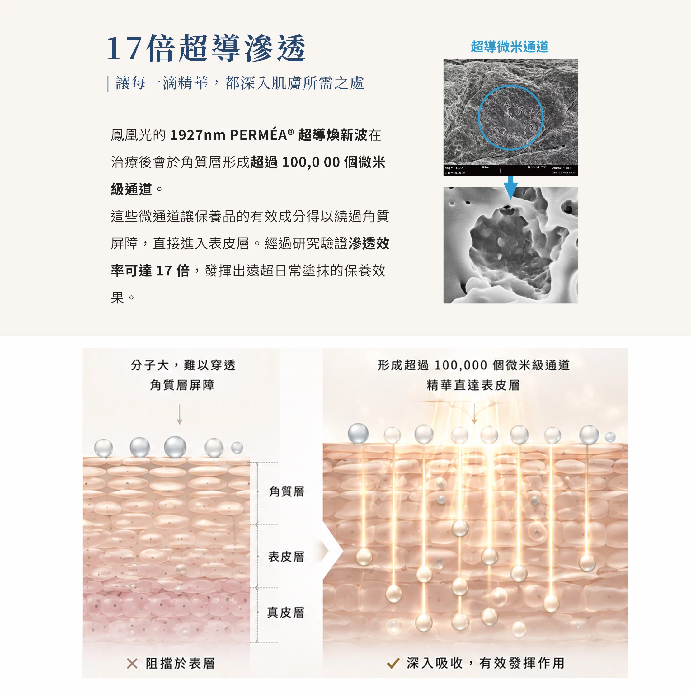鳳凰光 網頁設計 PC 04